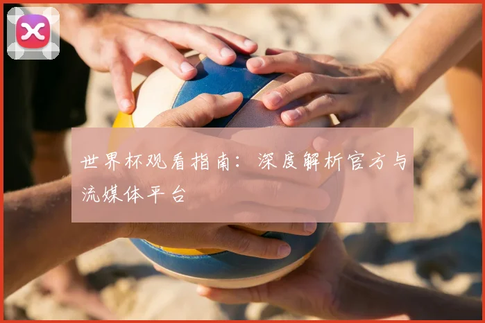世界杯观看指南：深度解析官方与流媒体平台