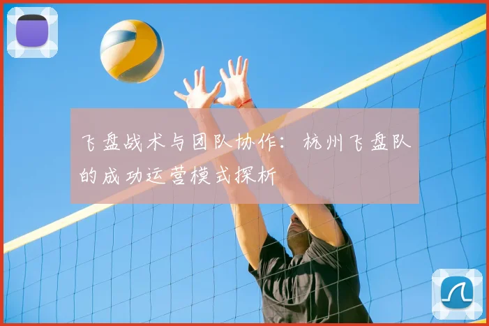 飞盘战术与团队协作:杭州飞盘队的成功运营模式探析